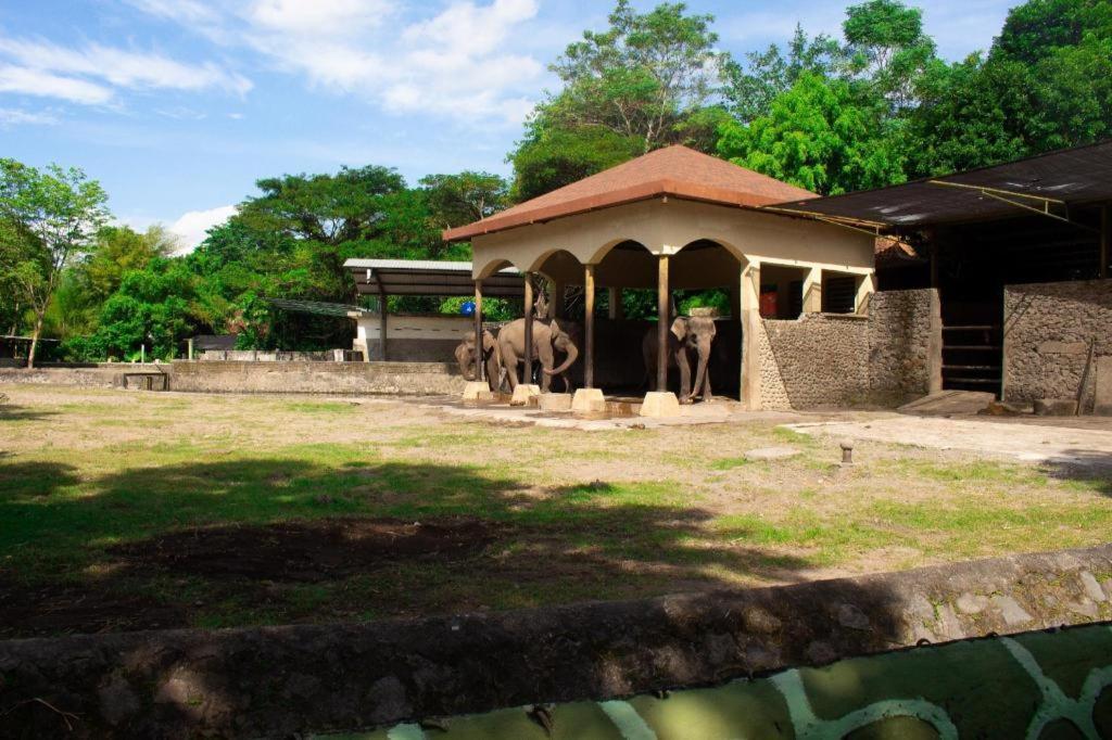Bhumi Hostel Yogyakarta Dış mekan fotoğraf