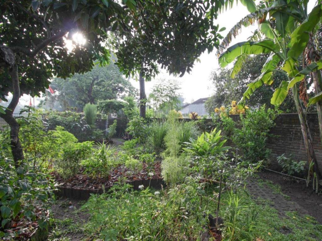 Bhumi Hostel Yogyakarta Dış mekan fotoğraf
